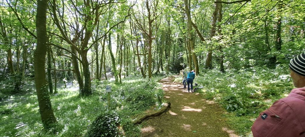 20250504_1117257137204416817929412