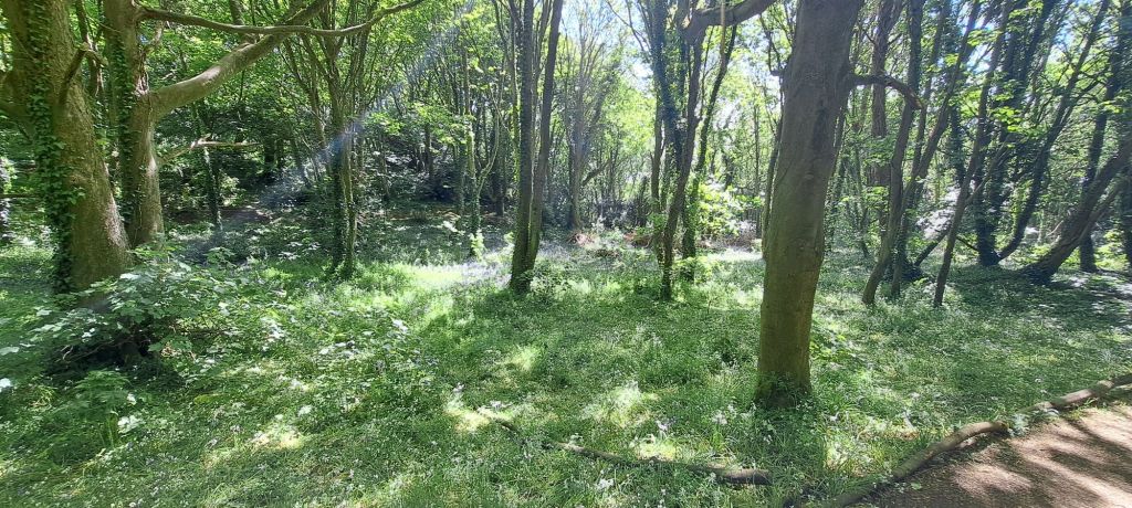 20250504_1117471859403536925828826