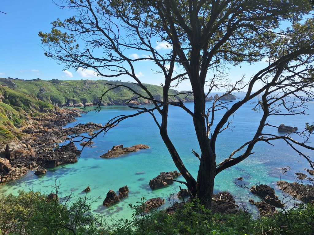 20250506_1249126344592243673490633