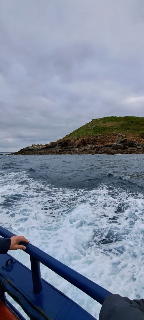 20250507_0833012352824898433230895