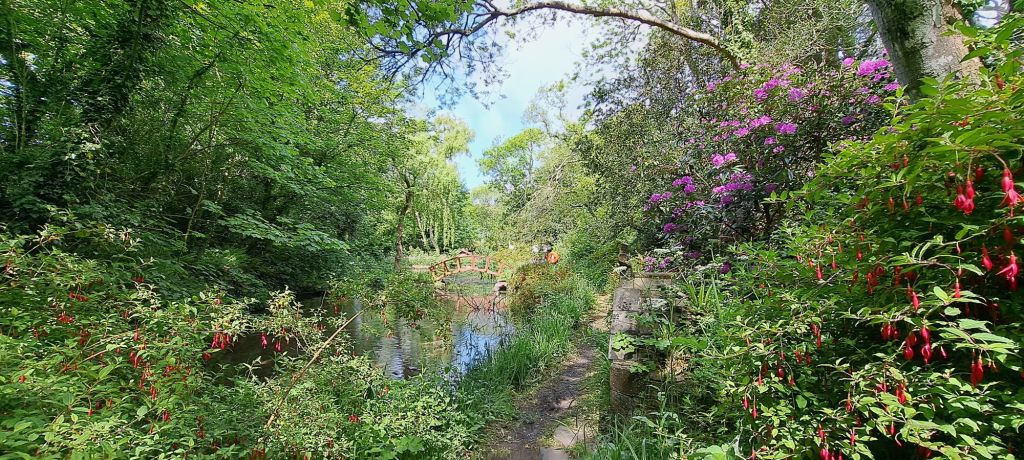 20250507_1058321422911245767886458