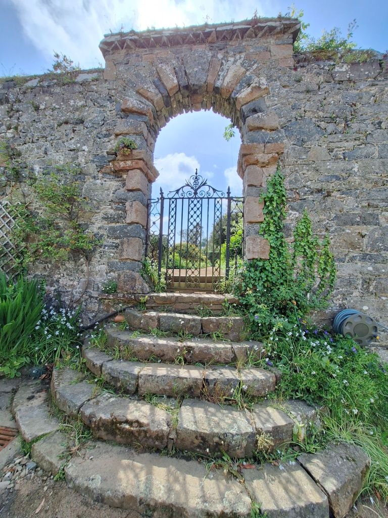 20250507_1114216185233307491726989