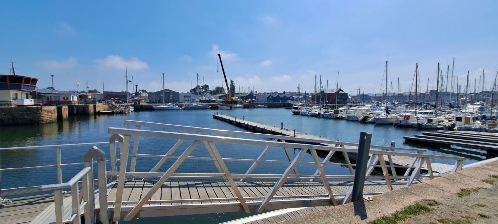 20250514_1351367329959295307756448