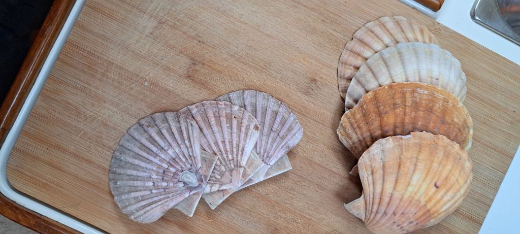 20250515_1551516907111984516674820