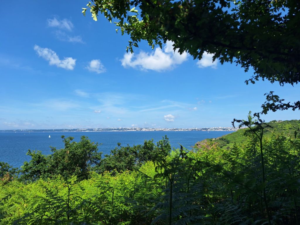 20250522_1208223269571777726745570