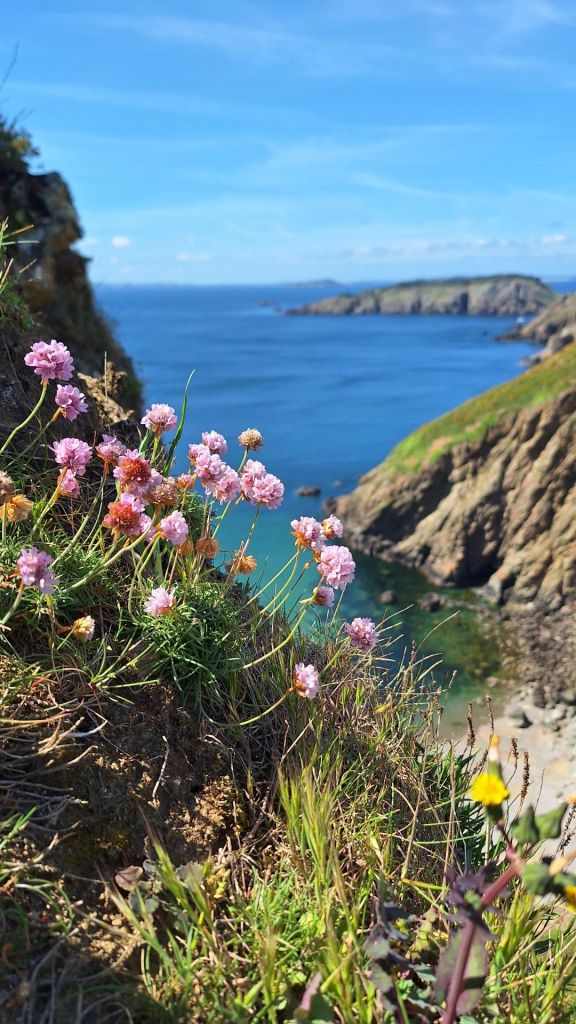 img_20250507_162337_8605557356239262309346