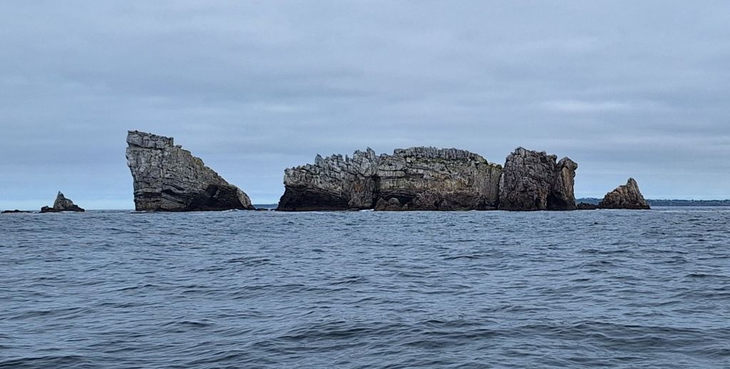 20250530_1003488855945747407756377