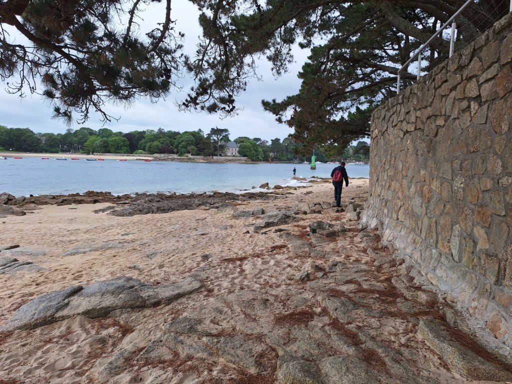 20250603_0932448207567463631640664