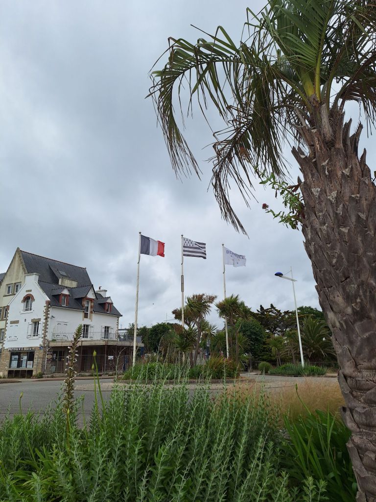 20250603_0947475709716748317704981