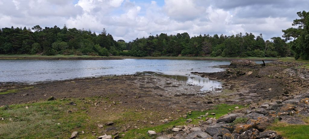 20250604_1636302056369320623811376