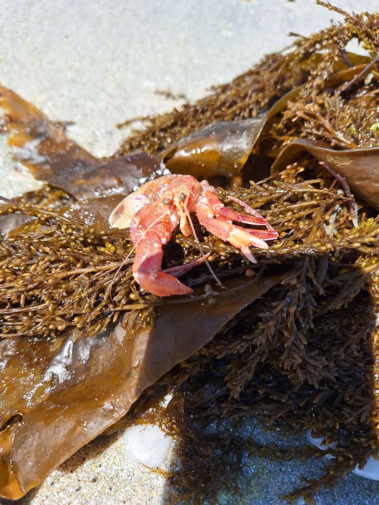 20250616_1237289113665657849016427