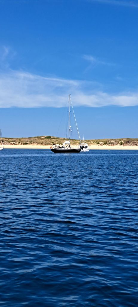 20250619_1452382866681745587035315