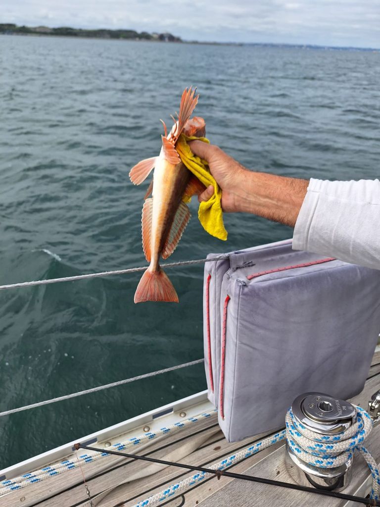 img-20250529-wa00185795218457537877606