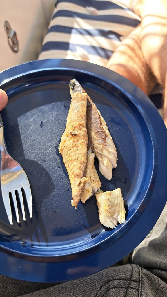 img-20250619-wa00181451673408452833949