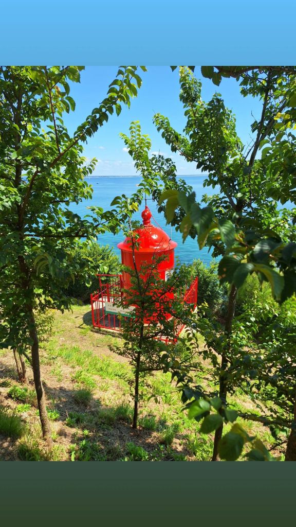 img_20250616_180731_1809112822080556117765