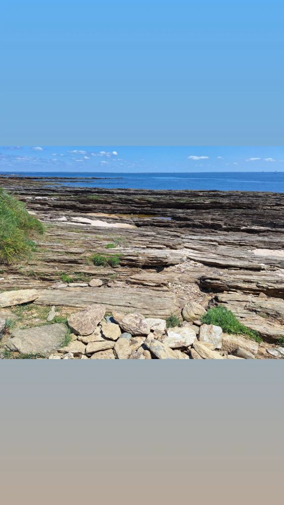 img_20250616_180731_5406656060258952756483