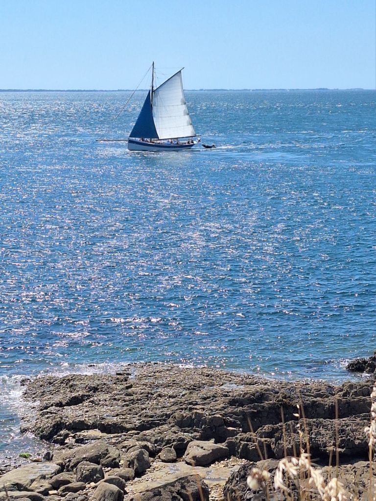 img-20250703-wa00142558678586982417022