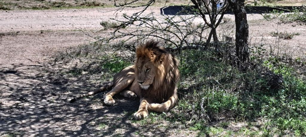 20260119_1408465728900227510146418